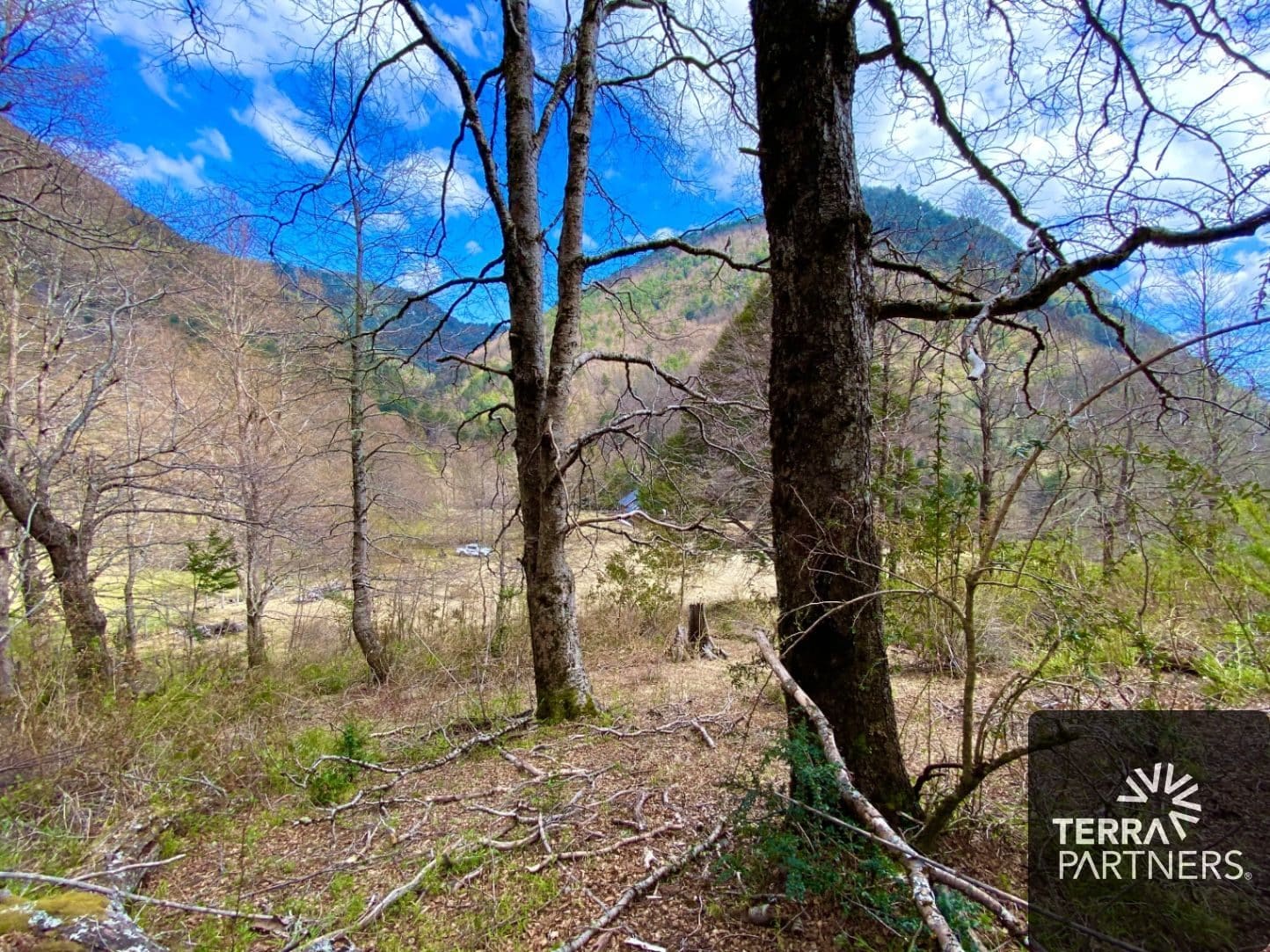 Parcela en venta en Curarrehue — foto 1