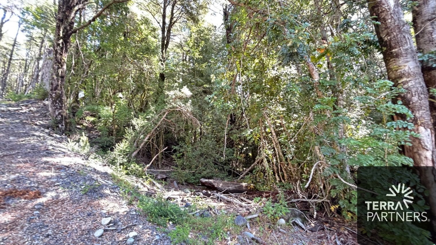 Parcela en venta en Pucón — foto 10