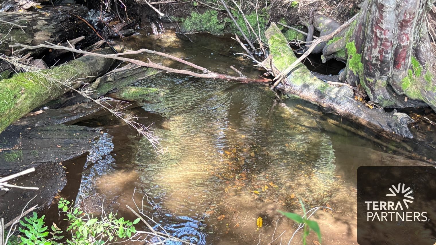 Campo en venta en Pucón — foto 1