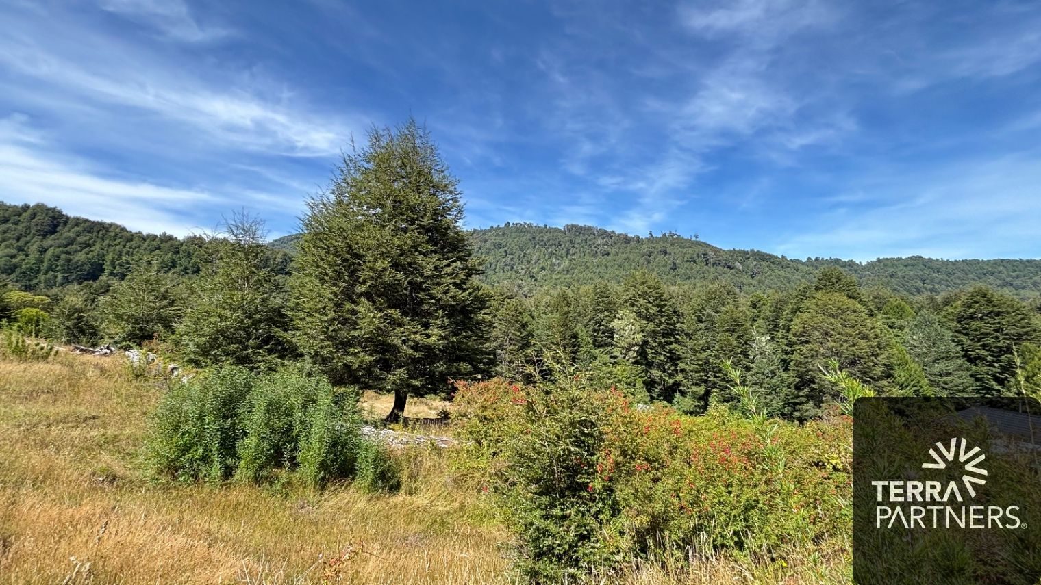 Campo en venta en Pucón — foto 2