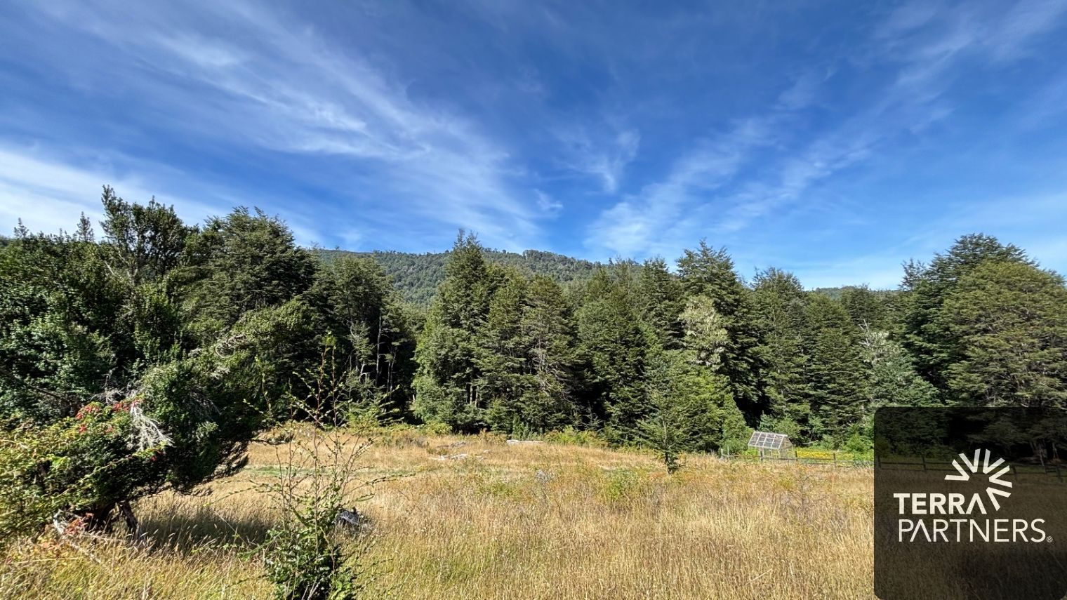 Campo en venta en Pucón — foto 4