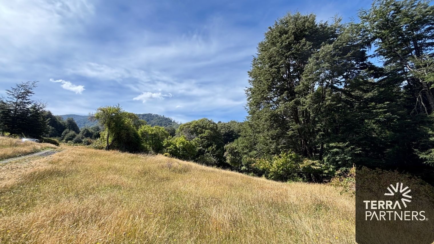 Campo en venta en Pucón — foto 5