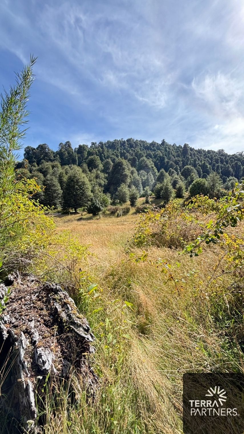 Campo en venta en Pucón — foto 7