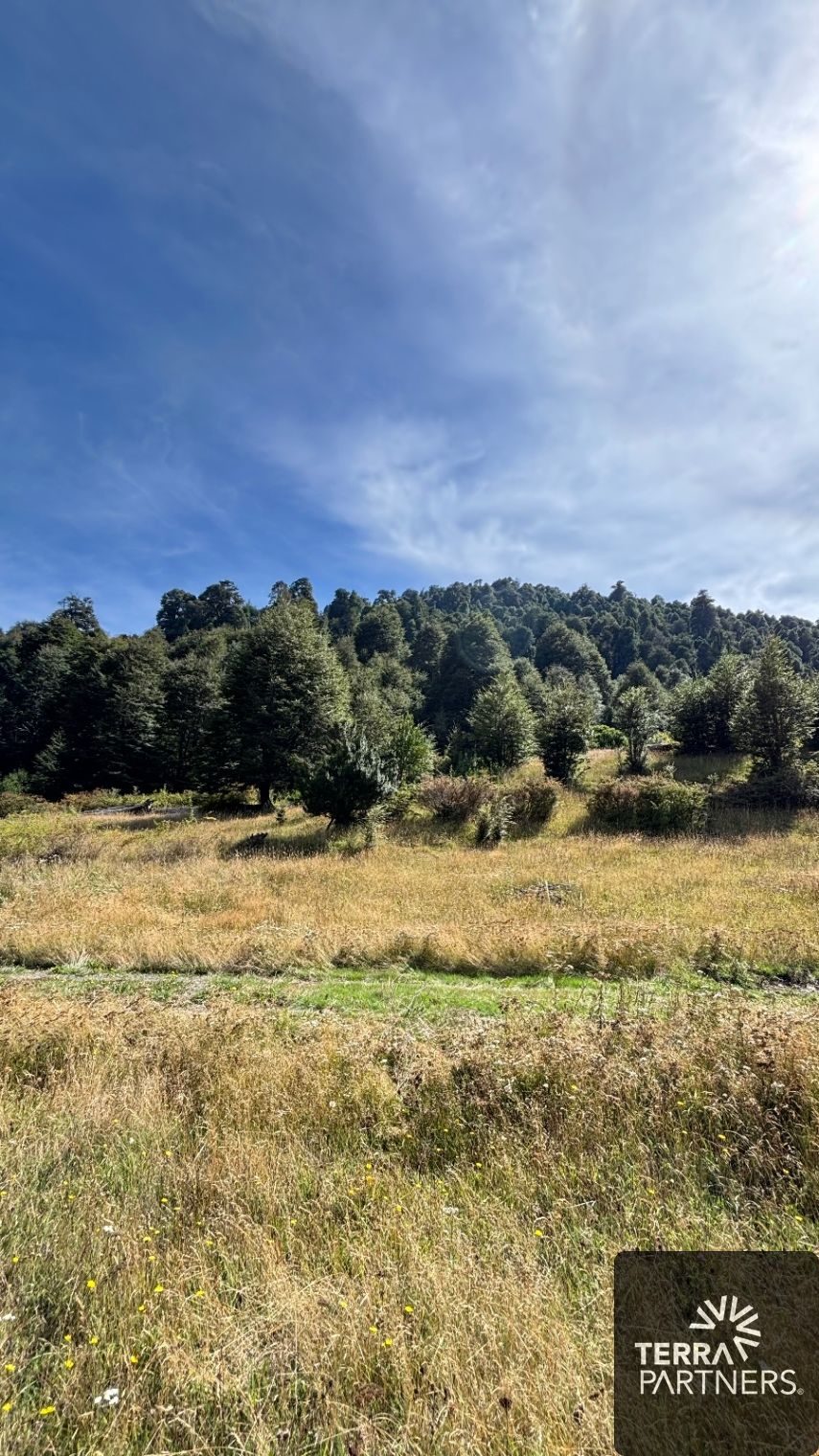 Campo en venta en Pucón — foto 9