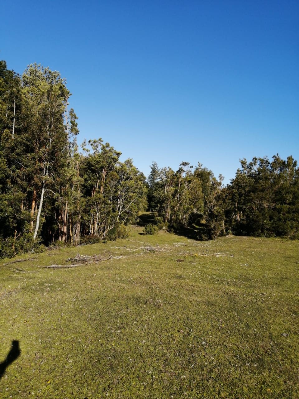 Parcela en venta en Puerto Montt — foto 10