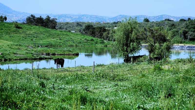 Parcela en venta en Melipilla — foto 3