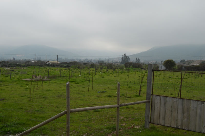Terreno en venta en La Ligua — foto 3