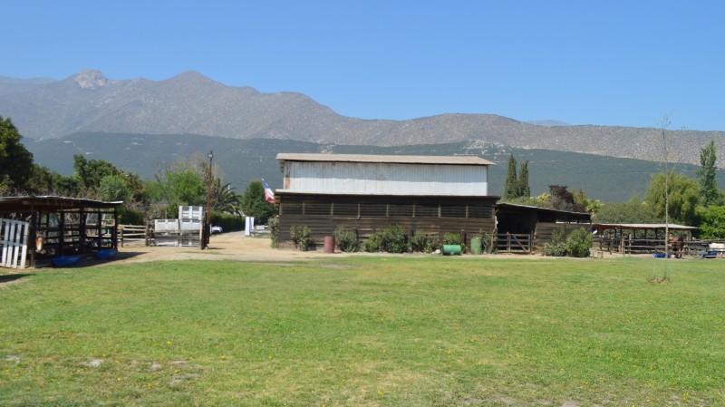 Parcela en venta en Panquehue — foto 1
