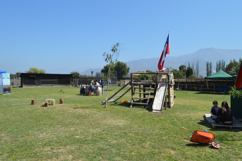 Parcela en venta en Panquehue — foto 2