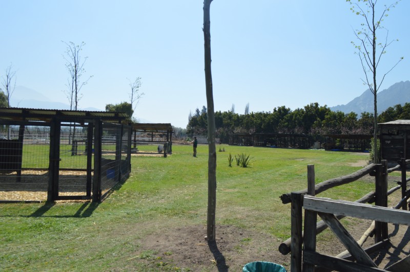 Parcela en venta en Panquehue — foto 3