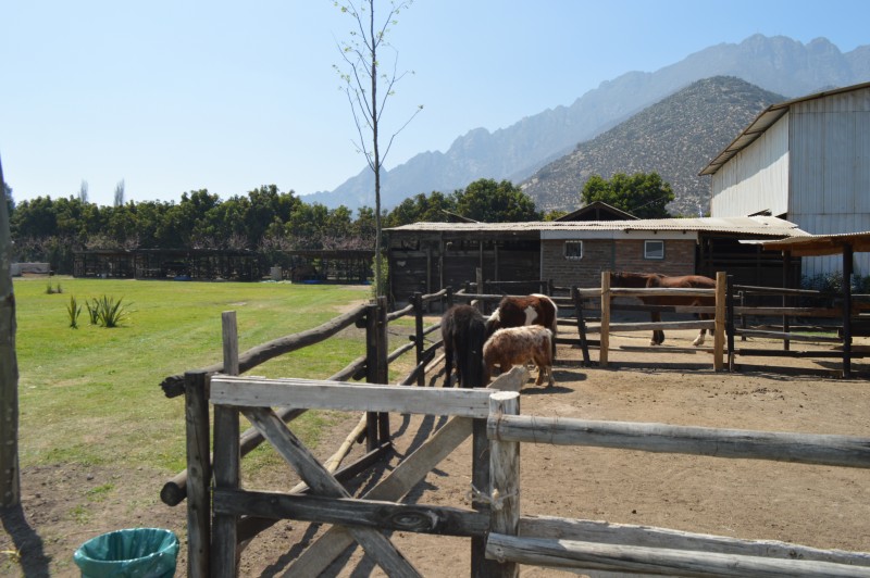Parcela en venta en Panquehue — foto 5