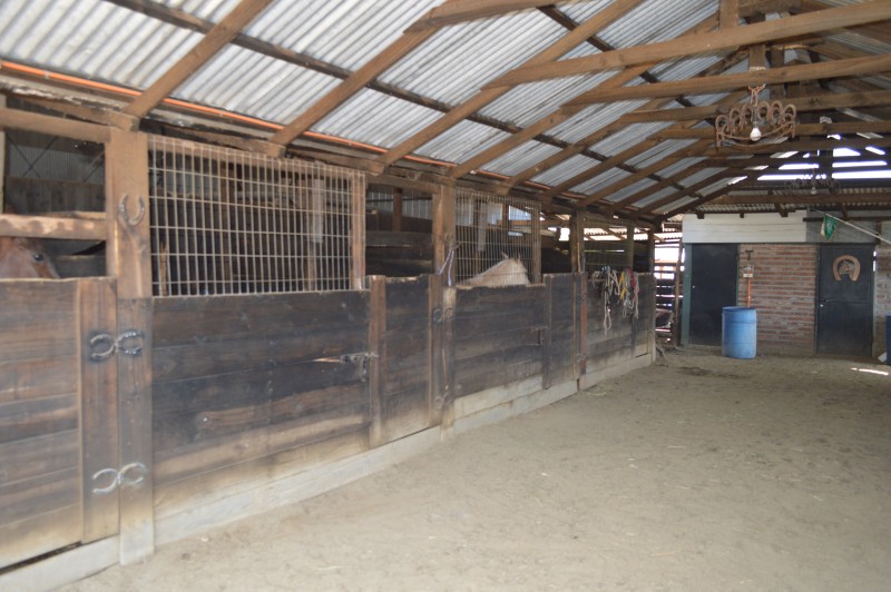 Parcela en venta en Panquehue — foto 6