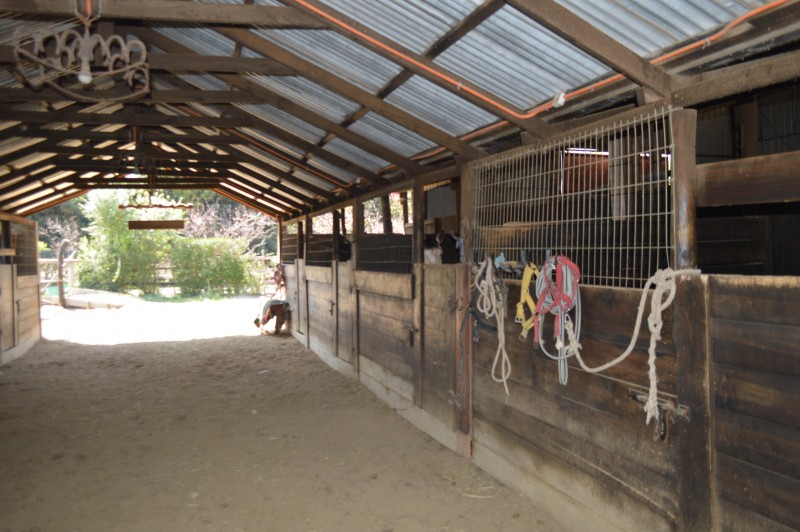 Parcela en venta en Panquehue — foto 7