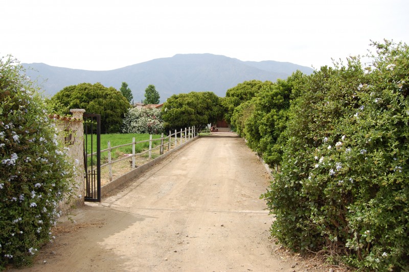 Parcela en venta en Panquehue — foto 2
