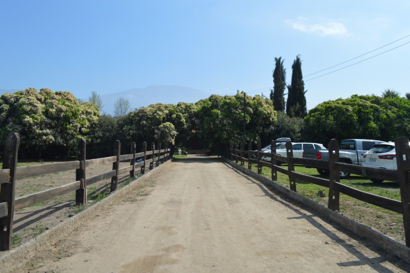 Parcela en venta en Panquehue — foto 3