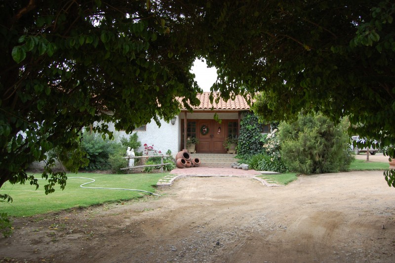 Parcela en venta en Panquehue — foto 4