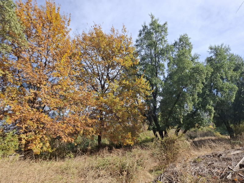 Parcela en venta en Mostazal — foto 3