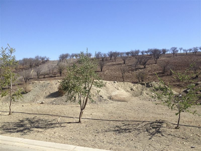 Terreno en venta en Colina — foto 3