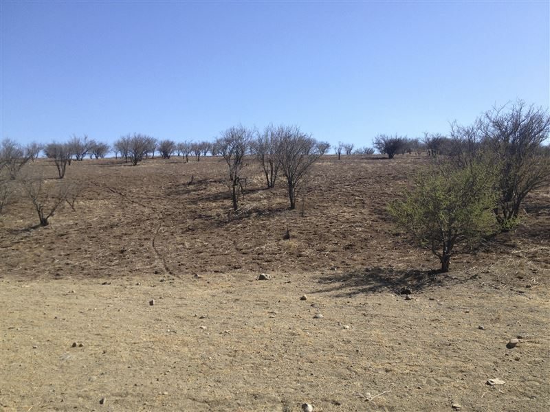 Terreno en venta en Colina — foto 9