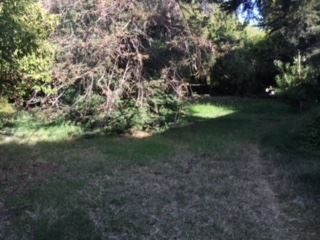 Terreno en venta en La Reina — foto 7