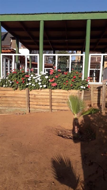 Parcela en venta en Curacaví — foto 4