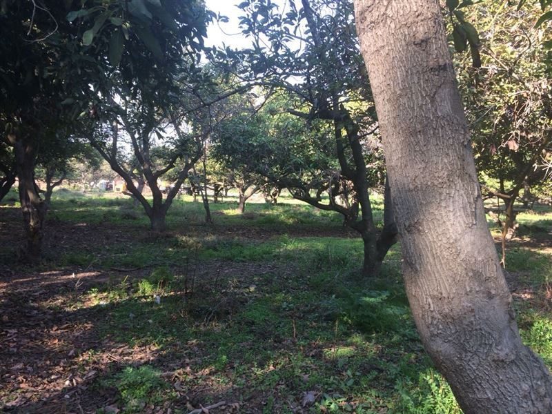Terreno en venta en Peñalolén — foto 2