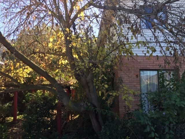 Casa en venta en Olmué — foto 3