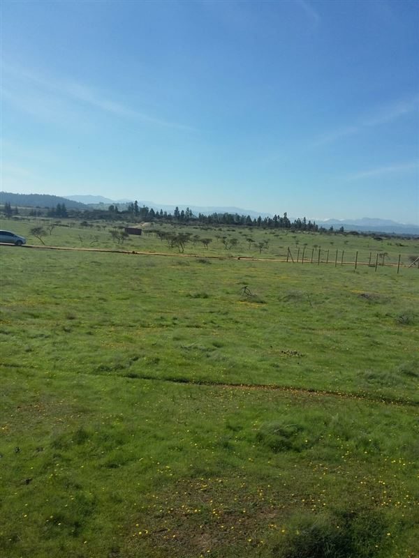 Parcela en venta en Litueche — foto 1