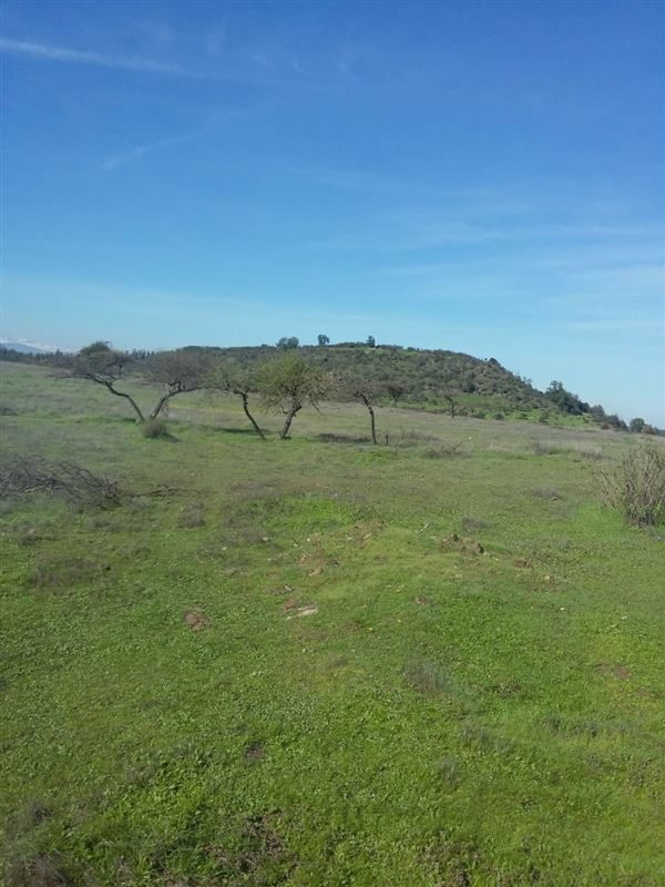 Parcela en venta en Litueche — foto 2