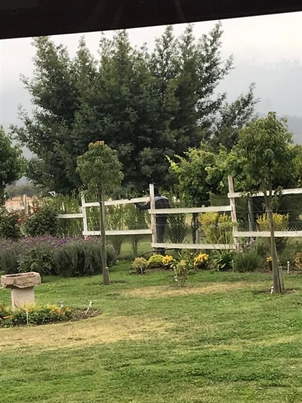 Casa en venta en Casablanca — foto 5