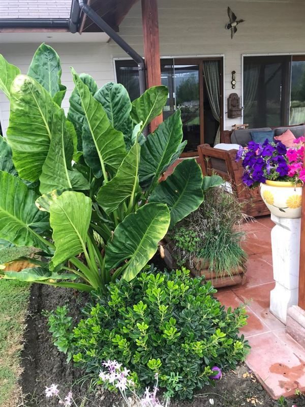 Casa en venta en Casablanca — foto 8