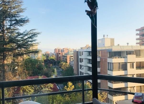 Departamento en venta en Providencia — foto 10