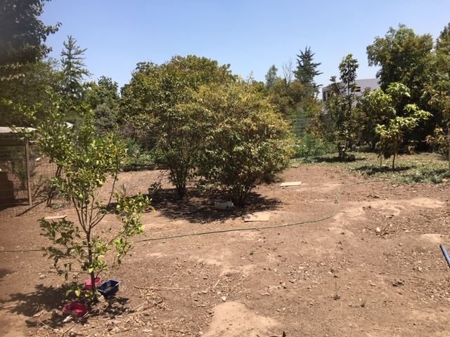 Casa en venta en La Reina — foto 4