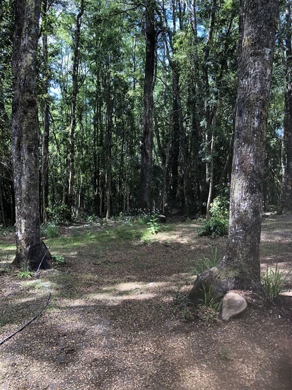 Terreno en venta en Pucón — foto 2