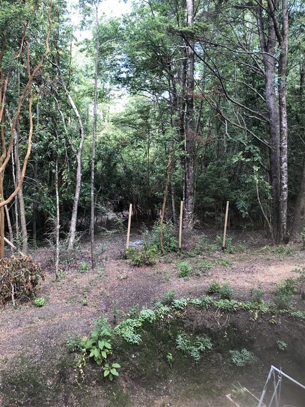 Terreno en venta en Pucón — foto 3
