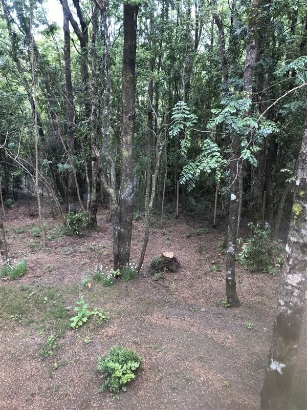 Terreno en venta en Pucón — foto 4