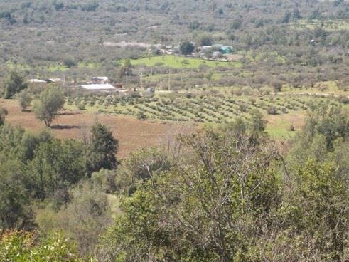 Parcela en venta en Quilpué — foto 1