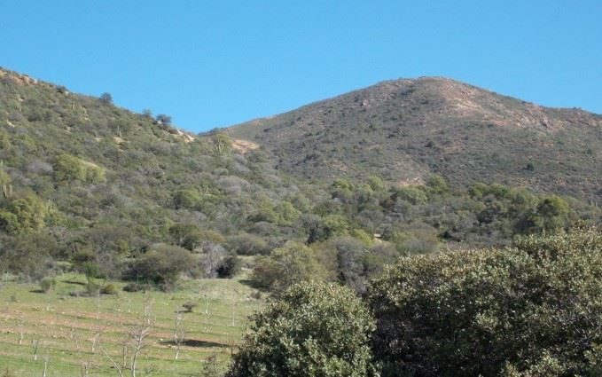 Parcela en venta en Quilpué — foto 2