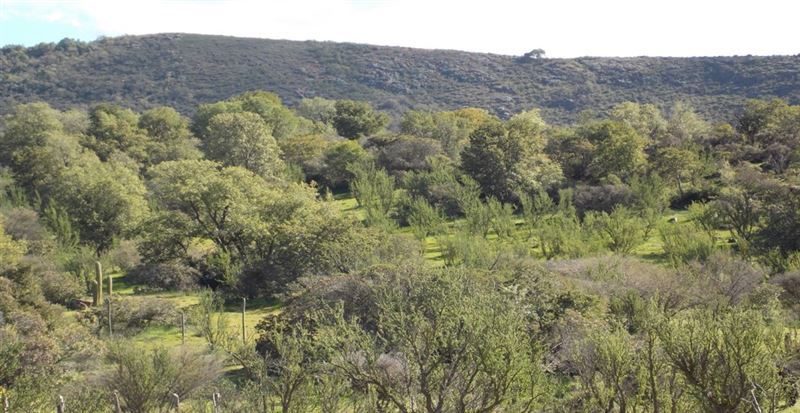 Parcela en venta en Quilpué — foto 9