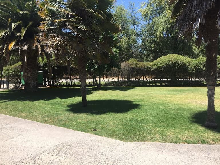 Casa en venta en Peñaflor — foto 5