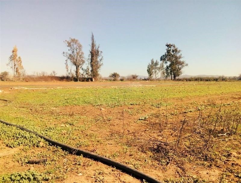 Terreno en venta en Limache — foto 1