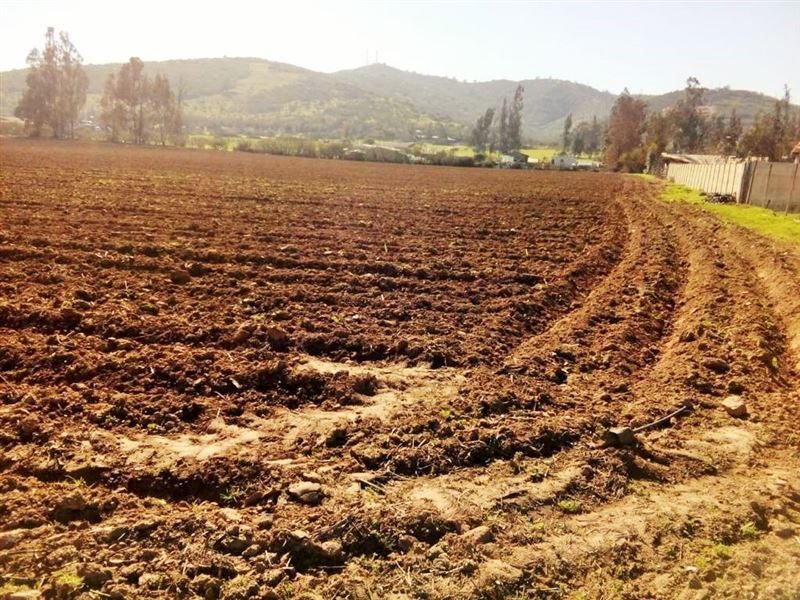 Terreno en venta en Limache — foto 3
