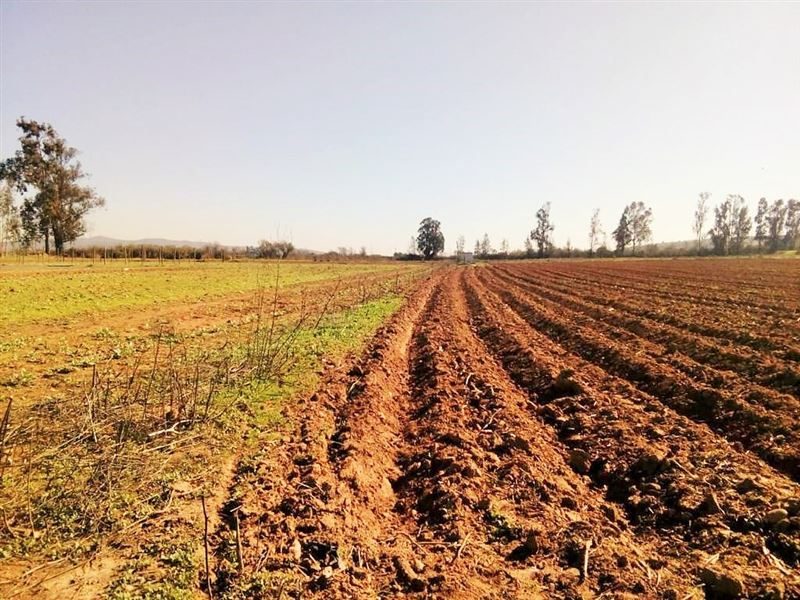 Terreno en venta en Limache — foto 4