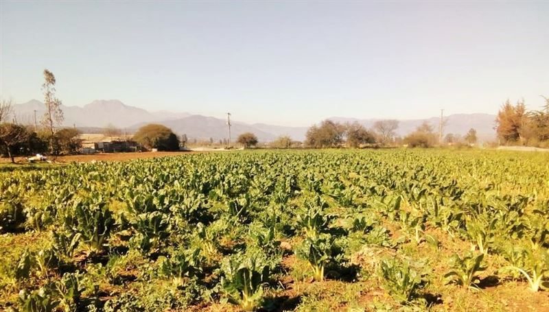 Terreno en venta en Limache — foto 5