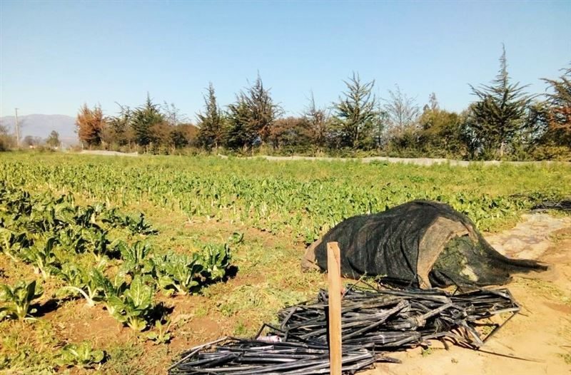 Terreno en venta en Limache — foto 6