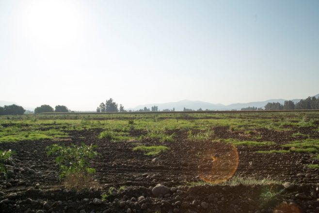 Parcela en venta en Talagante — foto 3