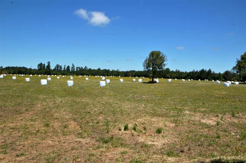 Parcela en venta en Osorno — foto 1