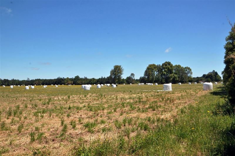 Parcela en venta en Osorno — foto 2