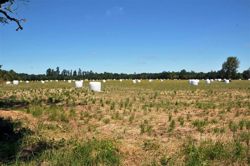 Parcela en venta en Osorno — foto 4