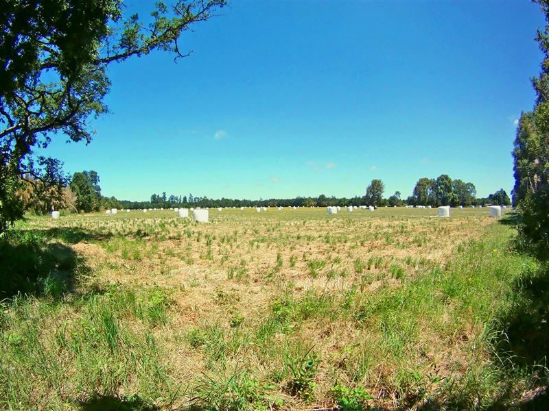 Parcela en venta en Osorno — foto 5
